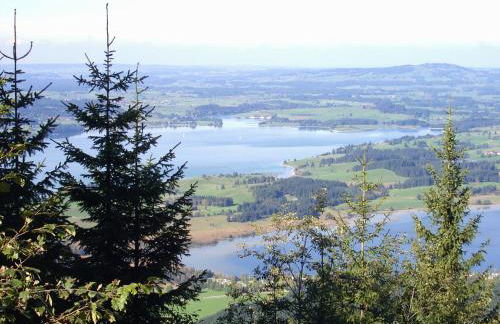 Lizzi Mountain Apartments - Foto 33