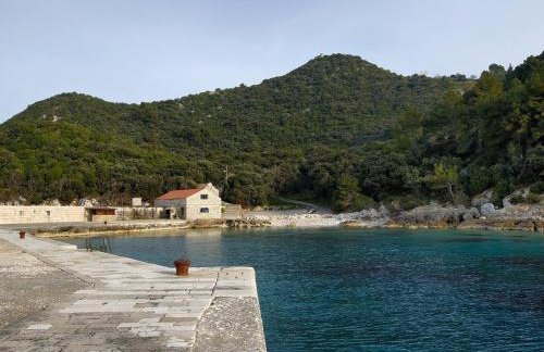 Apartment Cacini Dvori - Foto 24