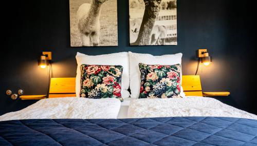 Ferienhof Petermühle Urlaub mit Alpakas - Foto 4