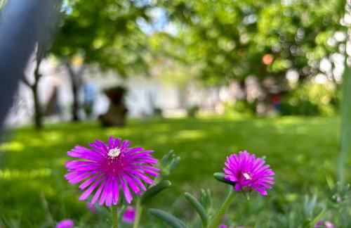 Apartment River - Foto 3