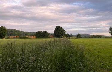 Unbox at Poplar Tree - Photo 40