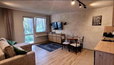 Leśne Apartmani Biała - Foto 3