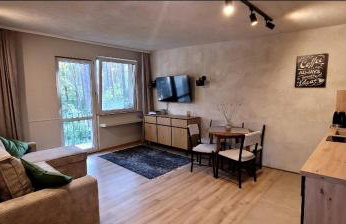 Leśne Apartmani Biała - Foto 3