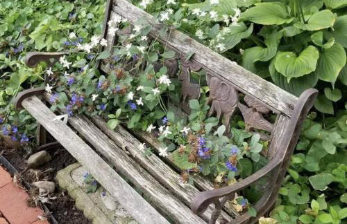 Lambs Landing Huron Family Vacation Home - Photo 31