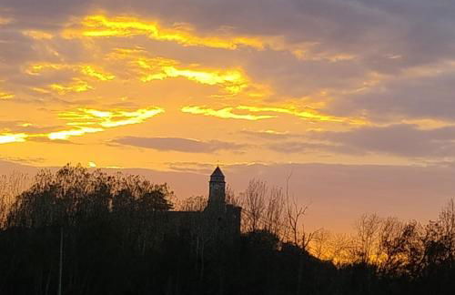 Le gite de l'ile du Buzet - Photo 19