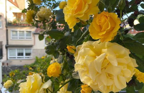 Feinzeit Cozy Rosy - 1-2 Schlafzimmer, 4-6 Gäste, Parkplatz - Photo 25