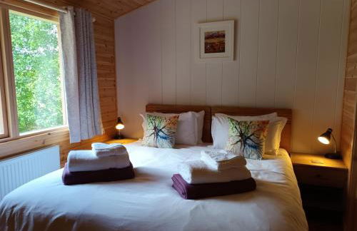 Birch Lodge, Pitlandie - Luxury 2 Bedroom Lodge with Sauna - Photo 19