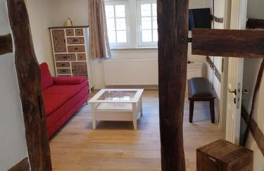 Zauberhafte Wohnung in der Nähe von Heidelberg, top Lage - Foto 1