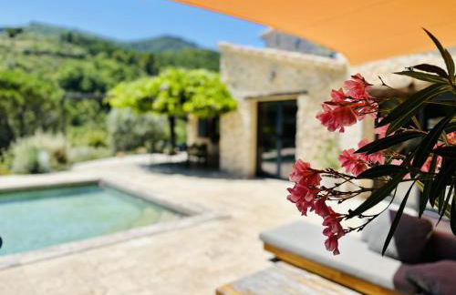 Maison en pierre, piscine, spa - Foto 15