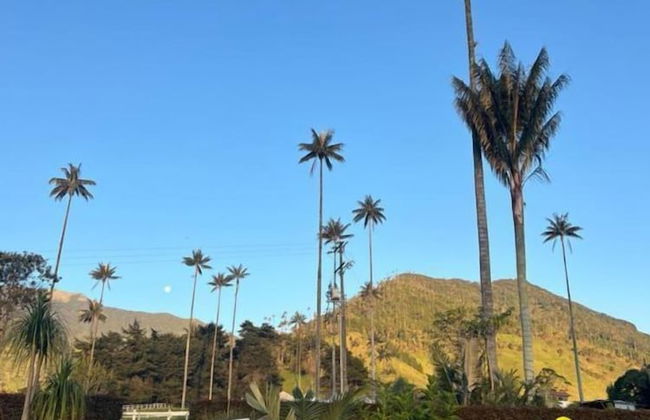 Bosques de Cocora Donde Juan B - Photo 13