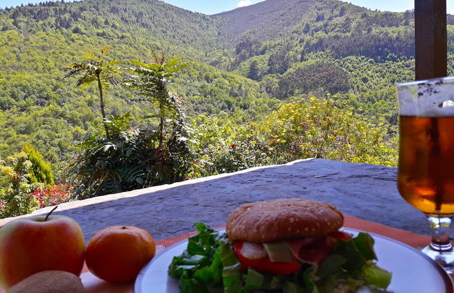 El Bosque de las Viñas - Foto 59