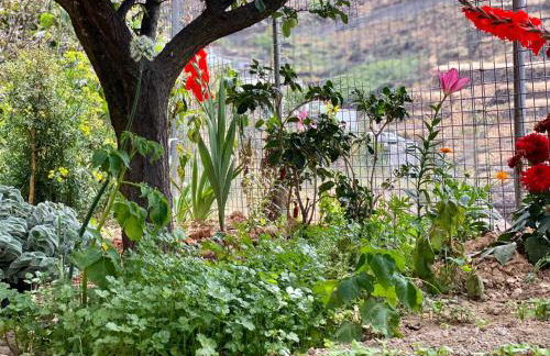 Juncalillo House - Foto 34