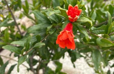 Casa El granero de Antonio - Foto 60