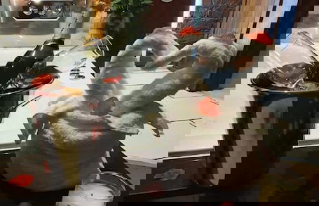 Infinity Partypadsliverpool Hen and Stag Welcome - Foto 67