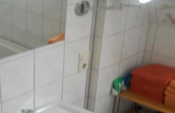 Ferienhof Schwienhorst - Foto 20