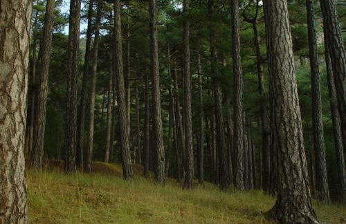 Casa El Volaero - Foto 52