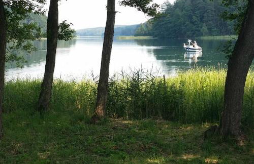 Sikory Hill - Foto 14