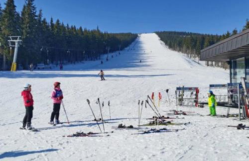 Apartamenty Black&White Lubawka - Domek z ruską banią i sauną - Foto 45