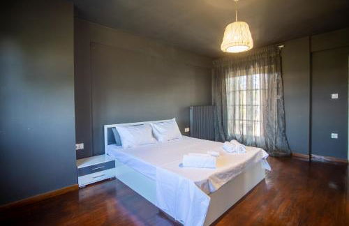 Τraditional fully detached villa on a luxurious hillock of Thessaloniki with its own garden also for family & wedding gatherings for 10 to 25 people only 15 minutes from airport - Foto 41