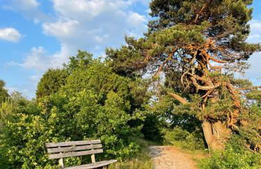 Little Cottage - Foto 48