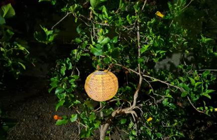 Stenorimi Valley House - Livadi, Astypalea - Foto 26