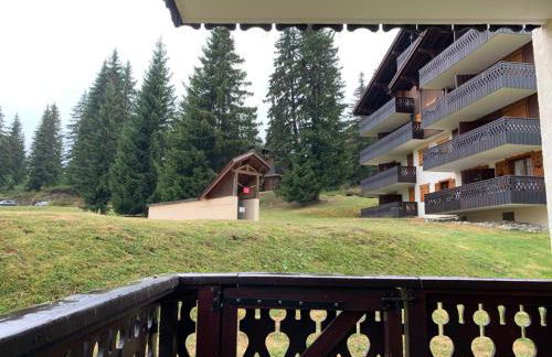 La forêt des Rennes - Foto 17