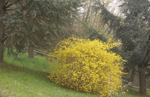 Agriturismo Le Giare - Photo 54