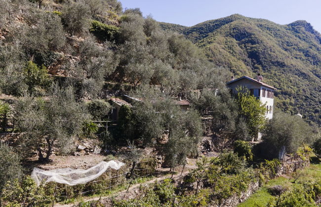 Ca de Isodor - Foto 1