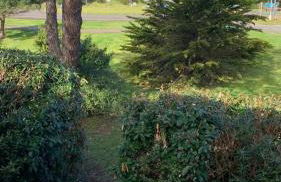 patio seignosse plage 6 couchages - Foto 16