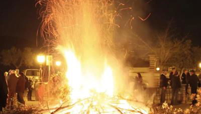 Domus Aura - Photo 4