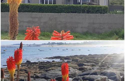 Les pieds dans l'eau - Cosqueville Vicq-mer - Foto 13