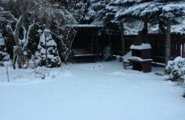 Domek letniskowy Ali - Foto 40