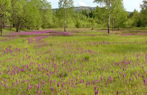 Ferienwohnung Petzold - Foto 15