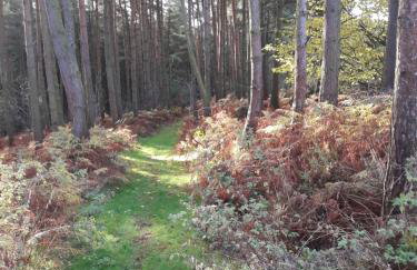 Middlehead Cottages - Foto 18