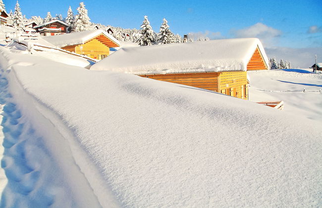 Maiensäss Komfort - Foto 40