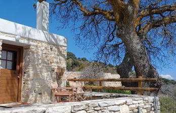 Hatzanario Apeiranthos - Photo 1