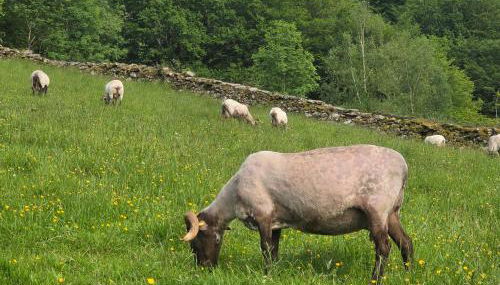 CASA RURAL Urruska - Foto 2