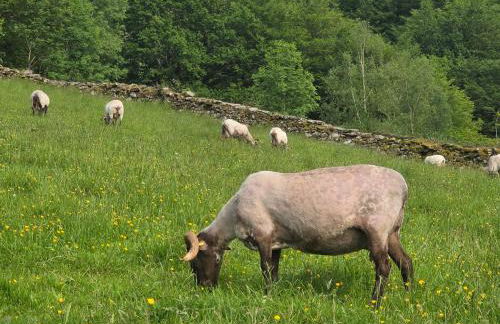 CASA RURAL Urruska - Foto 2