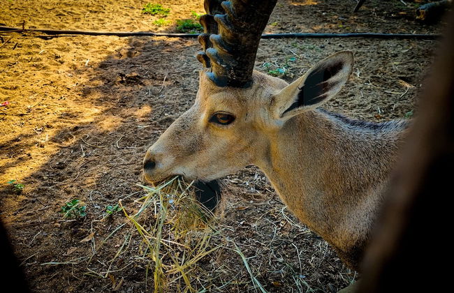 Remarkable 2-bed Apartment in Cairo Nasr City - Foto 41