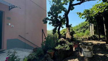 Ca' dii Bürsa - HOMY 5 TERRE - Foto 3, Garden