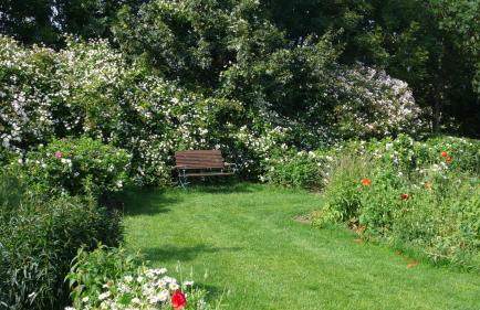 Schwalbennest - Foto 20