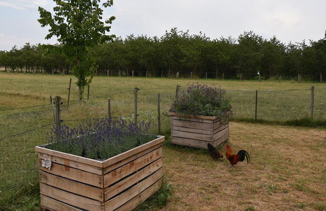 Apartment Near the Belgian Border - Photo 46
