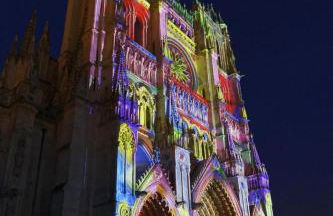 Aux Trompettes Violettes - Foto 44