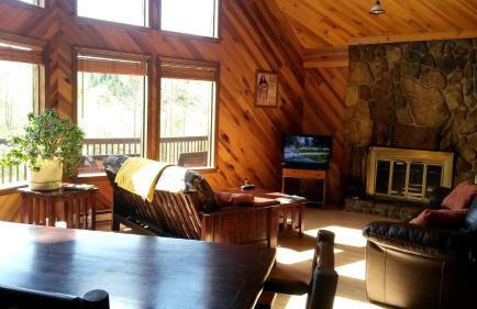 Cabin Rental with Hot Tub in the New River Gorge Region of West Virginia - Foto 2