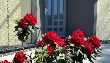 Cosmopolitan am Schlosspark - Foto 2