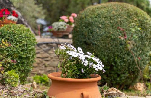 Villa Elia Kavala - Mediterranean Holiday Villa - Foto 31