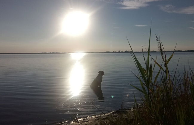 Bungalow in Klein Strtsmkendorf - Foto 21