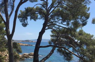 Villa Cocody - Foto 50