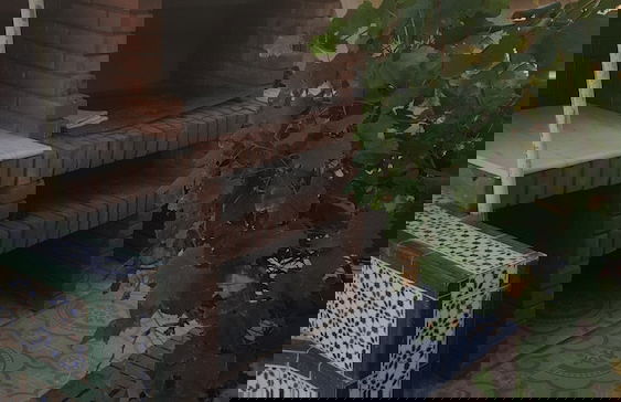 ExperienceAlgeria - Photo 17