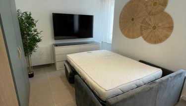 Les lionceaux - Foto 2